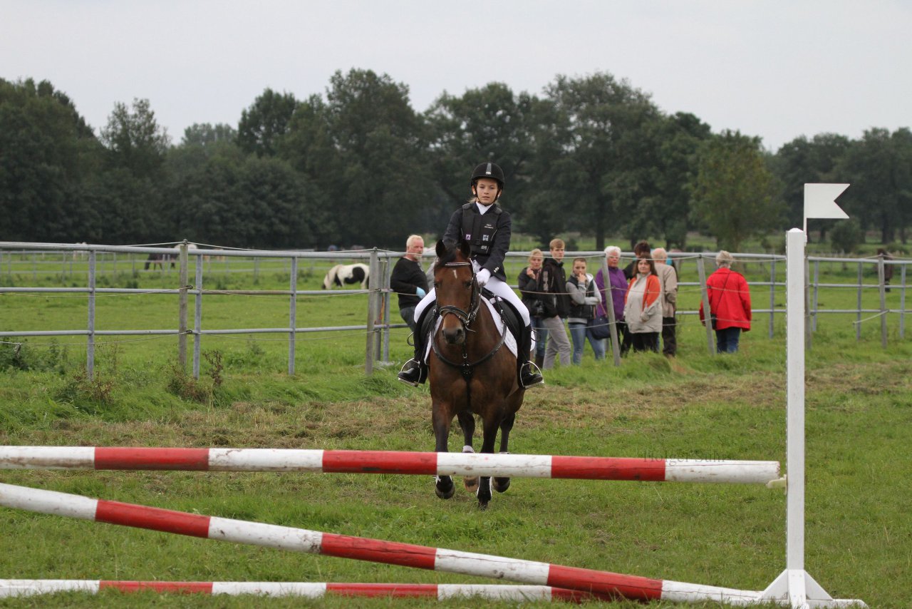 Bild 1365 - WBO-Turnier am 18.9.11